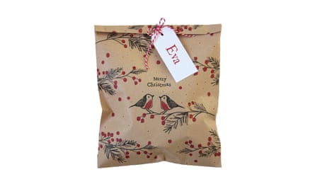 Brown paper robin gift bags