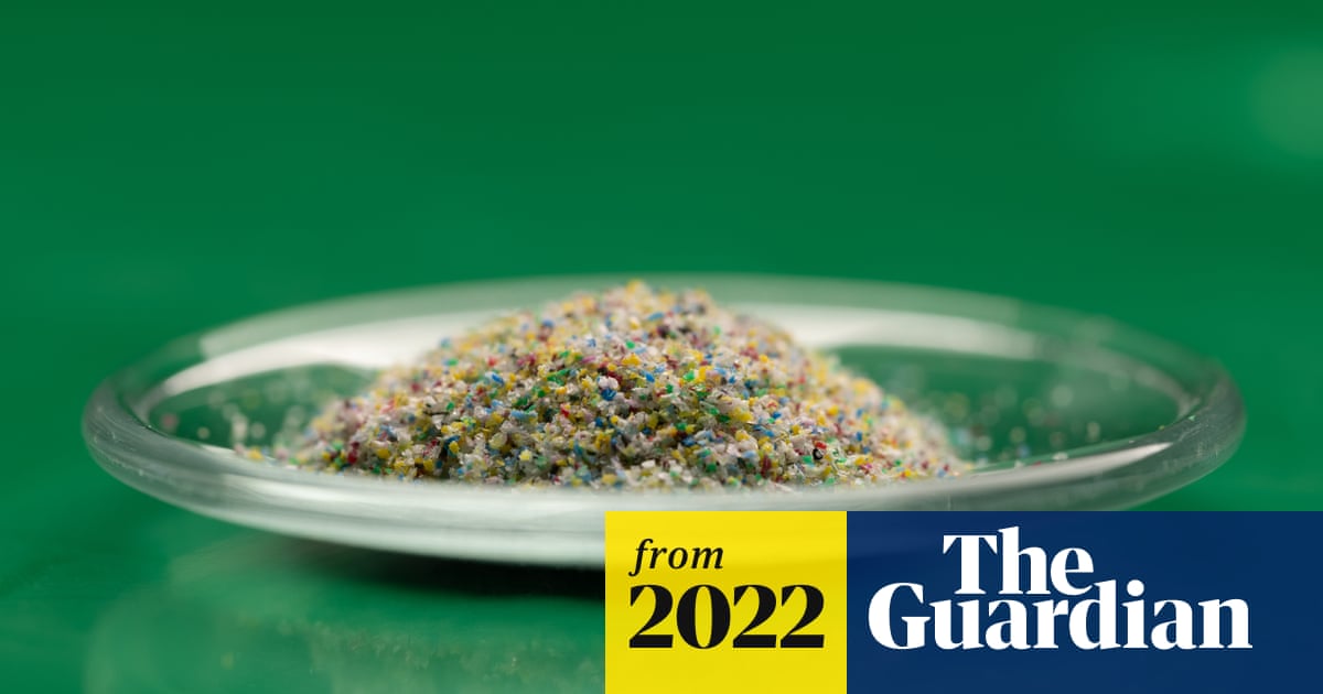 www.theguardian.com