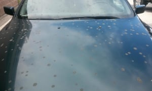 Susan Allen was left with an eye infection after her car was hit by sewage.