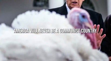 A white fluffy turkey with Trump beyond it.