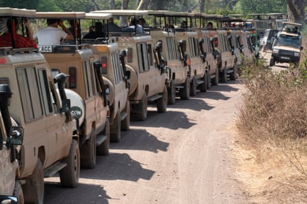 A line of safari 4x4s.