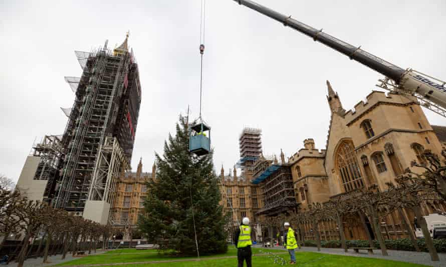 A huge Christmas tree being lifted vertically b y a crane in the grounds of Westminster, with two figures in hi-visibility jackets looking on