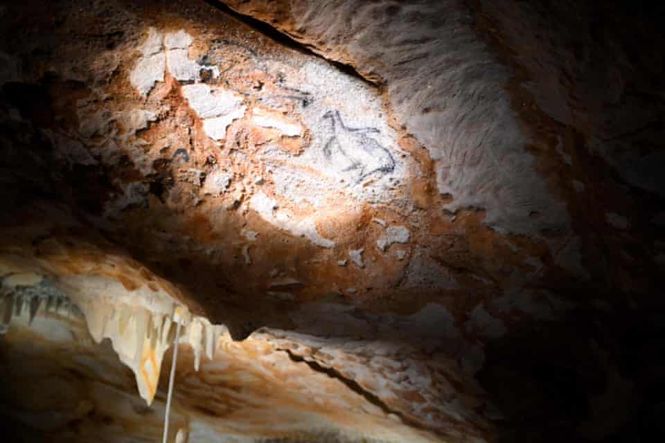 Les pingouins de Provence : un panneau représentant trois grands pingouins, Pinguinus impennis. Cette espèce a été chassée jusqu'à l'extinction au XIXe siècle.