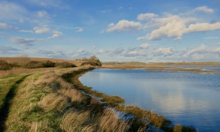 Grassy path by water