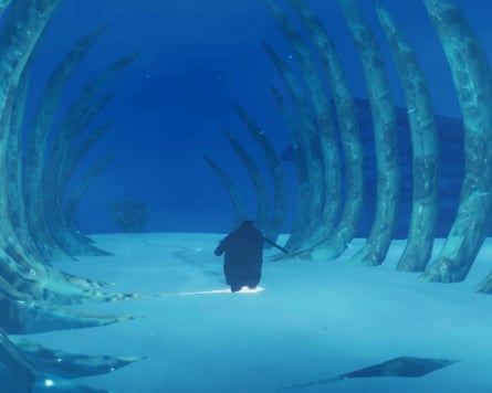 Penguin Colony