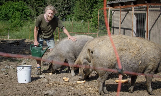 Vert avec les trois cochons qu'il a sauvés.