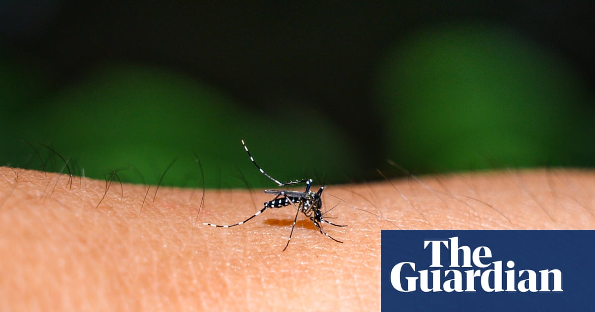 Rise in dengue fever outbreaks across the Pacific driven by the climate crisis, experts say