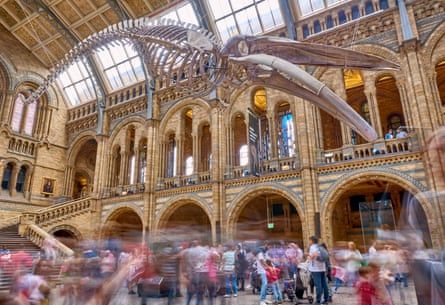 Hintze Hall at Natural History Museum, London.