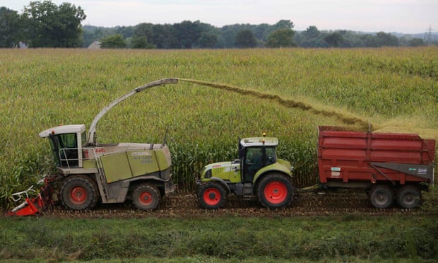 Farm machines harvest maize in a corn field in France.