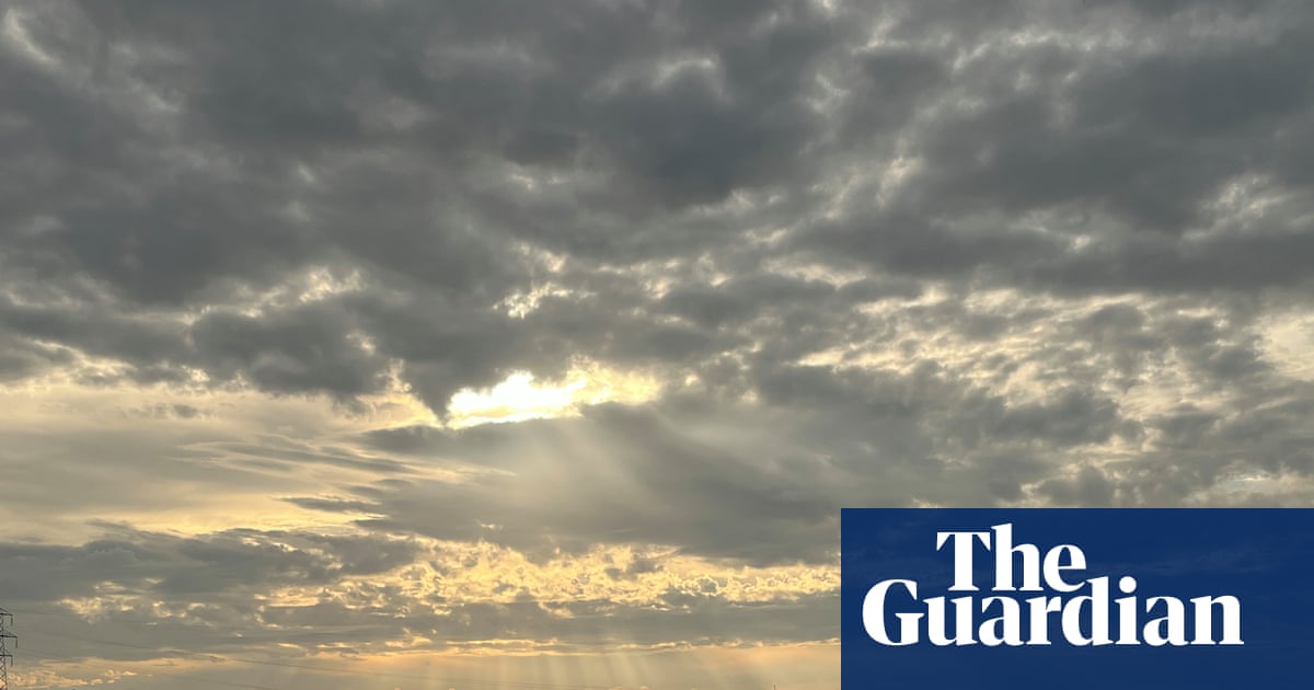Country diary: Solar eclipse night was a social phenomenon – who cares if it was cloudy? | Mary Montague