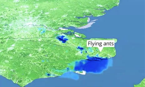 Met Office images of the cloud of flying ants seen on the south coast on 18 July.