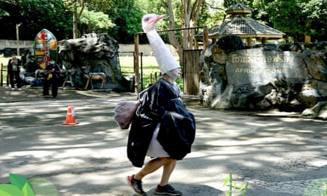 Thailand’s Chiang Mai Zoo held training drills for its ‘wild animal management plan’ which saw one man dress as an ostrich.