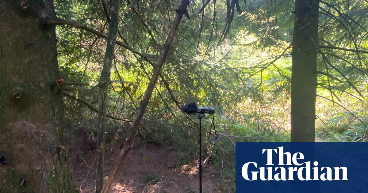Listen for Lanny: can Max Porter’s mythic tale be heard in this woodland?