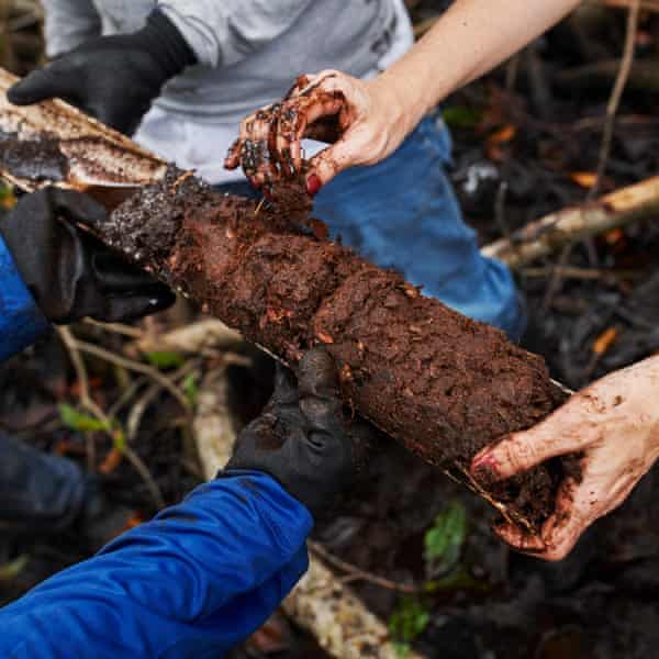 A sediment core sampler with 50cm of soil to measure the carbon