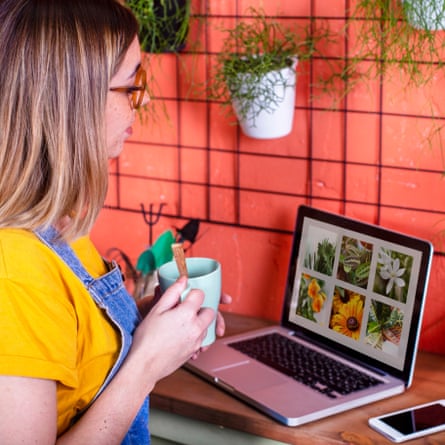 Woman using laptop on her terrace