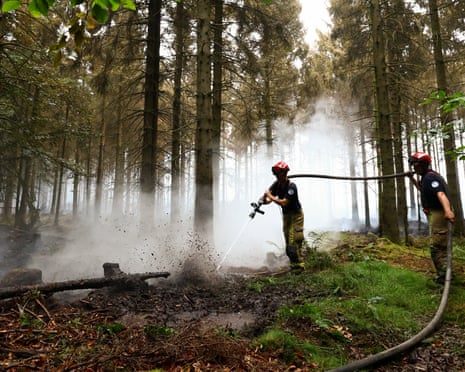 Belgian firefighters extinguish a wildfire in a forest in Waimes, Belgium.