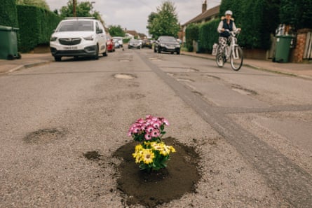 Plants in a pothole in the road, put there by pothole campaigner Harry Smith-Haggett