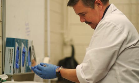 Prof Andrew Pask holding a dunnart