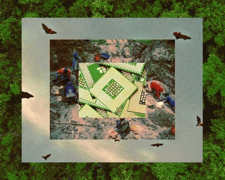 A disease of deforestation: how Ebola is linked to the smartphone in your pocket