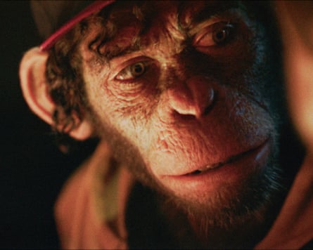 Close up of a CGI chimpanzee wearing a red cap