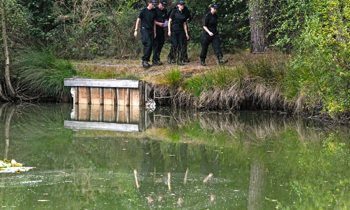 Woman released from custody after death of toddler in Hampshire pond | UK news | The Guardian
