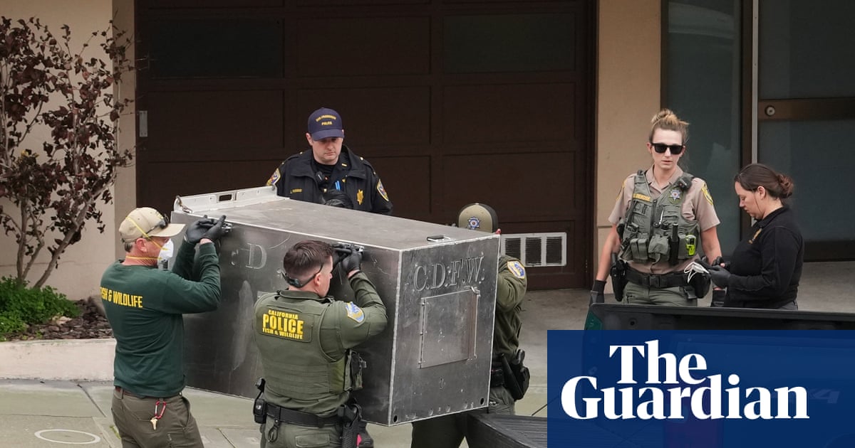 Mountain lion roaming San Francisco’s streets captured by wildlife officials