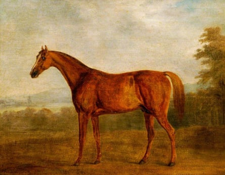 Potoooooooo portrait