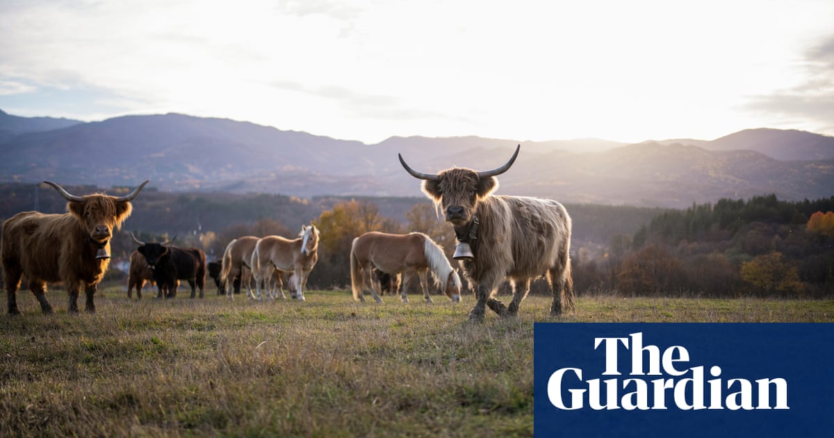 Бела БатърстВ конферентна зала на хотел в Шропшир миналата зима