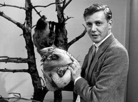 David Attenborough with an armadillo on BBC TV in 1963.