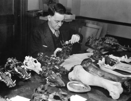 A man looking at bones