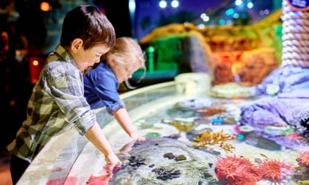 Children play in the touch seapool at the aquarium at the Mall of America, Minnesota