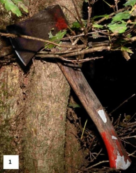 Axe next to a tree