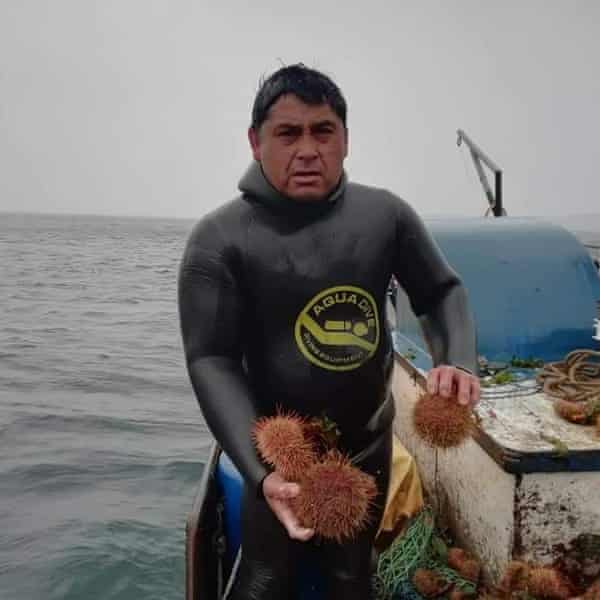 A man on a boat wearing a wetsuit and holding sea urchins.