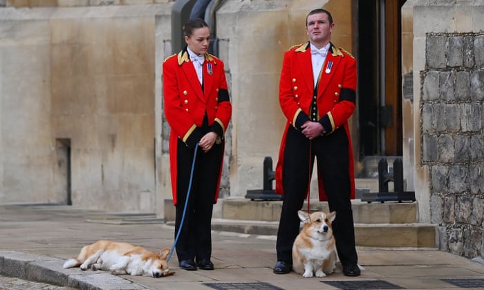 Members of the Royal Household walking two of the royal Corgis outside Windsor Castle.