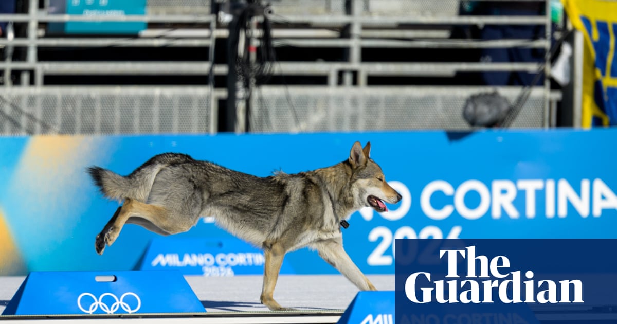 Very good dog invades course but falls short of medal glory at Winter Olympics