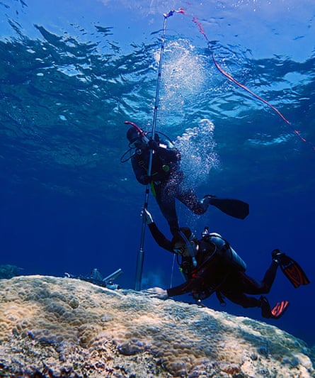 Scientists demonstrate taking coral cores for study.