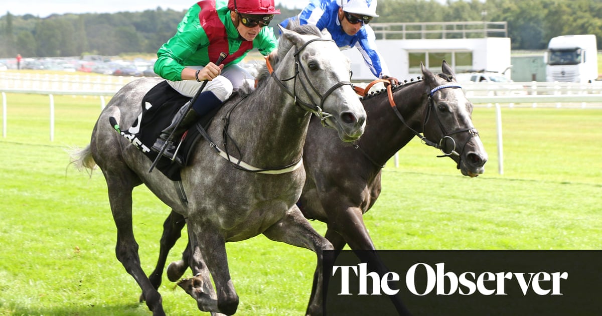 Gutsy Newbury win puts Technician back in frame for success in St Leger