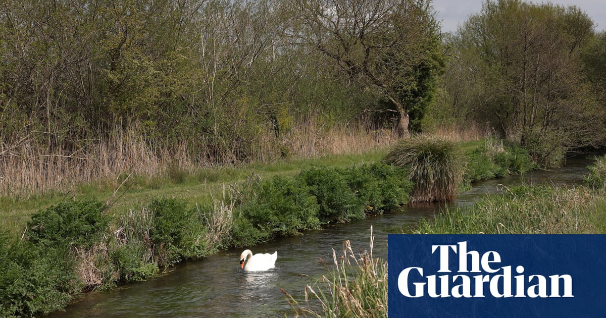Attempt to protect England's rare chalk streams in planning bill rejected by Labour MPs
