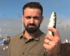 Fishy Business: Who Really Profits When Sardines Go Viral?