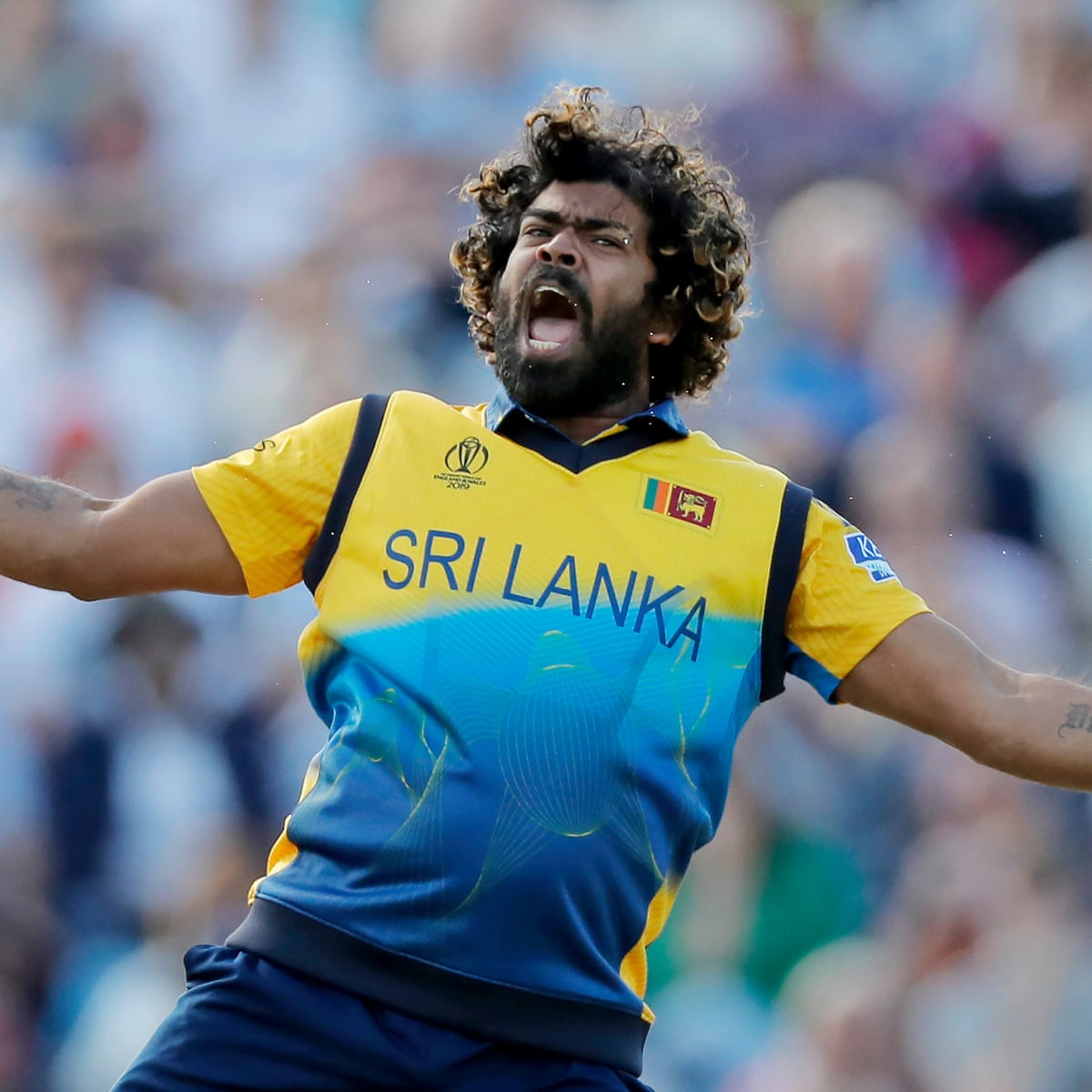 Bowlers to win Purple Cap in IPL