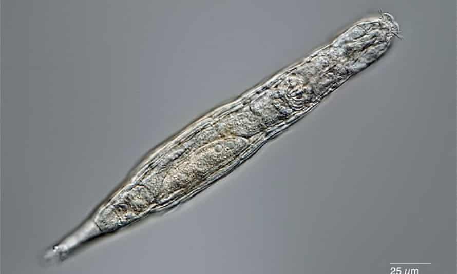 1440.jpg?width=445&quality=45&auto=format&fit=max&dpr=2&s=94676c9b2444b72dbba6bbbed2bc7839