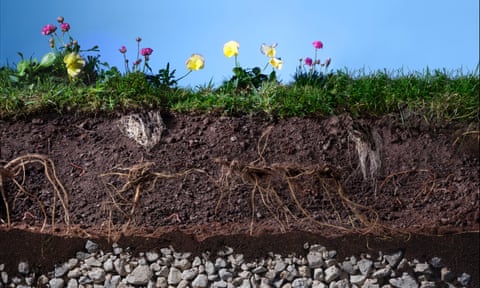 Cross-section of soil with rocks below and grass and flowers on top