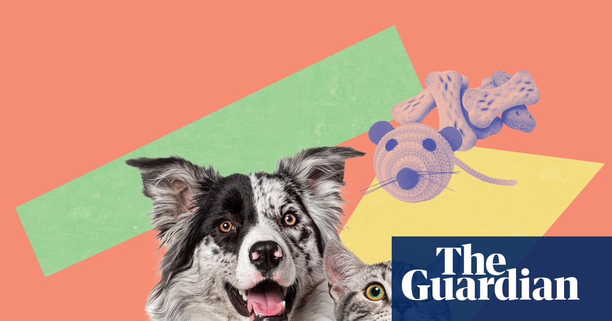 Feed them, love them and play them drum’n’bass: vets’ tips for keeping pets happy and healthy