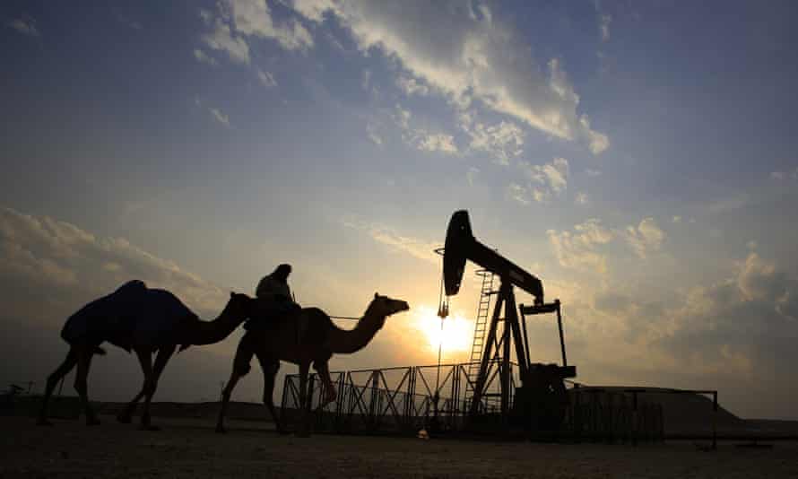 Bir adam Bahreyn, Sakhir'deki çöl petrol sahasında bir deveye biniyor