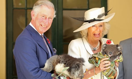 The Prince of Wales and the Duchess of Cornwall hold koalas at Government House in Adelaide.