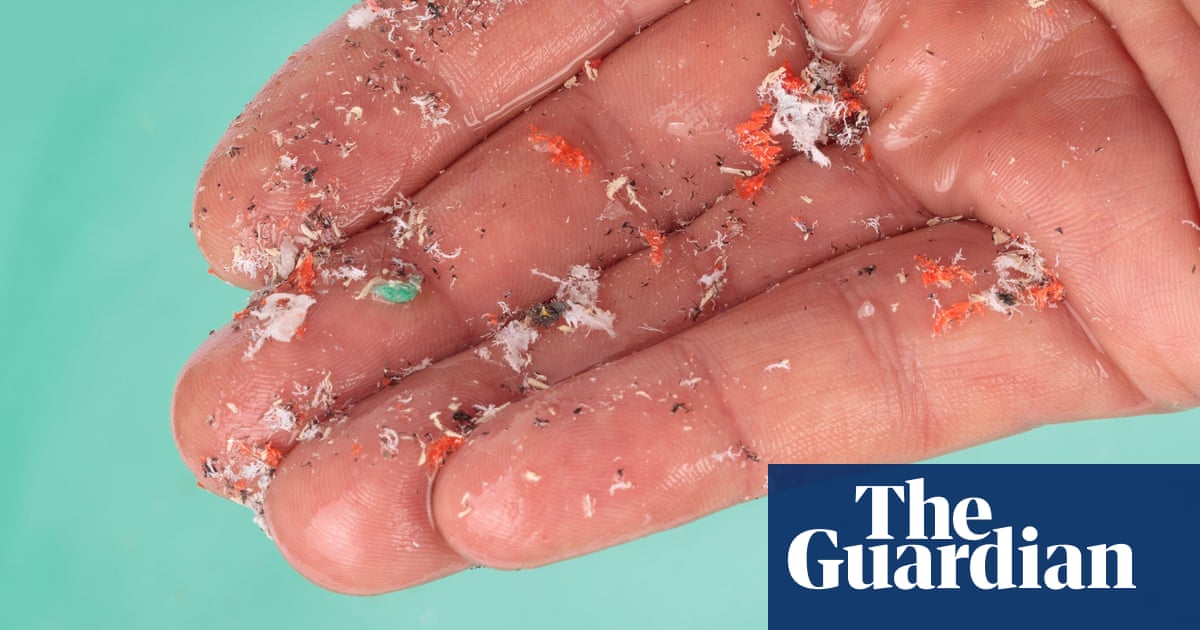 Microscopic plastics could raise risk of stroke and heart attack, study says | Environment