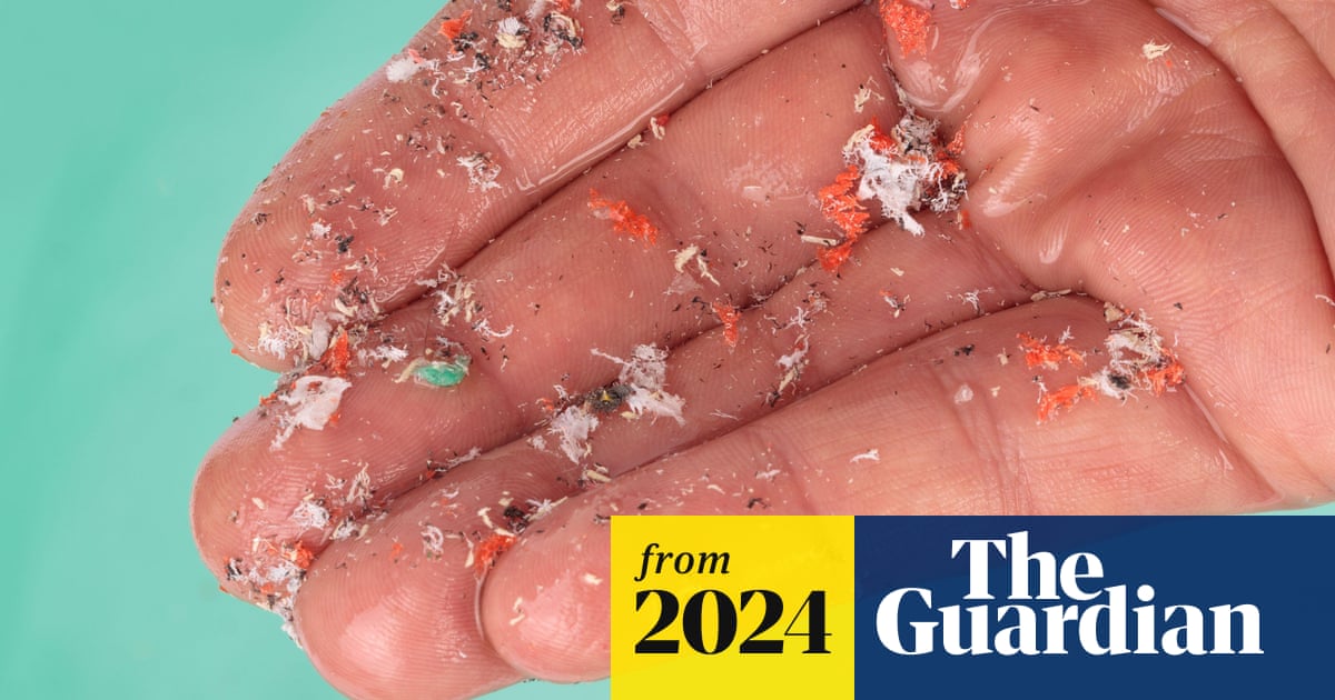 Microscopic plastics could raise risk of stroke and heart attack, study says