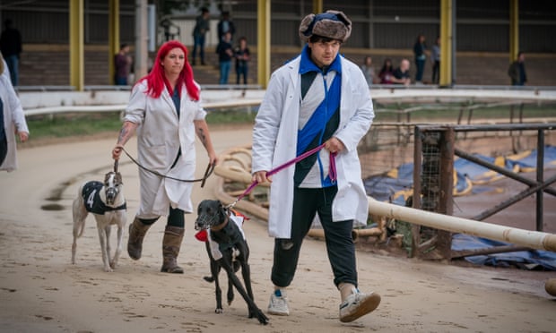 Cardi (Tom Hanson) walks his new greyhound, “Arson Fire”, aka Martin, at the races.