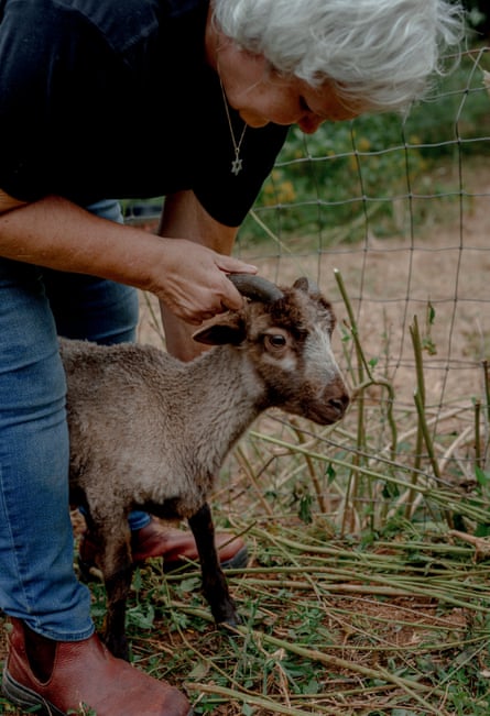 An older woman inspects a sheep’s head.