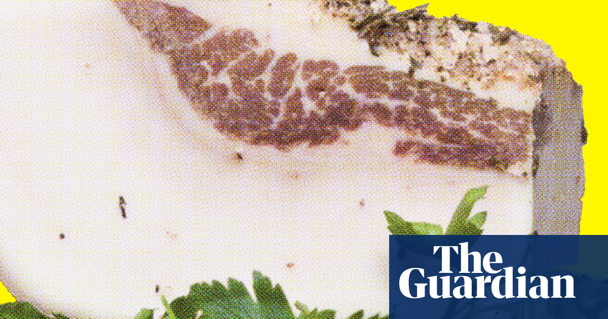 Do seed oils really cause inflammation? We asked the experts – Stylist Do seed oils really cause inflammation? We asked the experts – Stylist